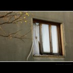 Finestra sull'abbandono Finestra sull'abbandono