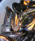 cozze cozze