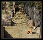 Dai...vieni giù!!! Dai...vieni giù!!!