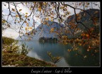 Emozioni d'autunno .. Emozioni d'autunno ..