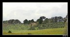Dipinto Dipinto