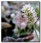 che freddo...... che freddo......