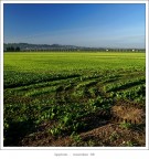 ...veduta... ...veduta...