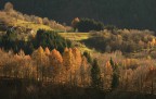 Alpago. Stesso posto, un mese esatto dopo la prima postata.