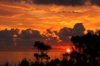 Alba Jonica