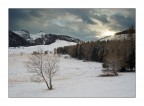 Un Sole Gelido Un Sole Gelido