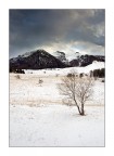 Le Tre Cime