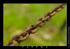 catena catena