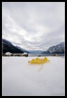 autunno bianco ...