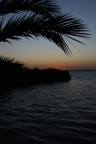 PALME AL TRAMONTO PALME AL TRAMONTO