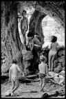 L'Albero dei Bambini L'Albero dei Bambini