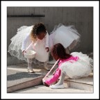 Damigelle... Damigelle...