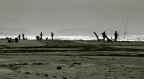 Pesca al mare Pesca al mare