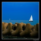 Navigando.... Navigando....