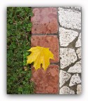 Una foglia sulla pietra Una foglia sulla pietra