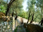 f710
PW: livelli