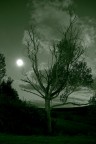 notte di luna notte di luna