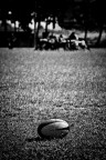 rugby rugby