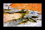 the earth's colors the earth's colors