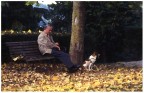 autunno nel parco autunno nel parco