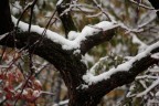 ...inverno ...inverno
