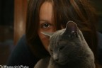 Felinità Felinità