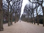 viale a Parigi viale a Parigi