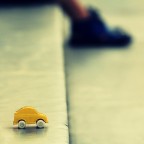 NO RACE TODAY NO RACE TODAY