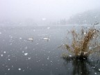 Nevica Nevica