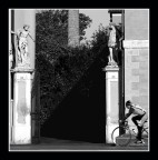 come il canto delle sirene... come il canto delle sirene...