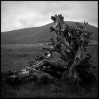 irlanda #27 irlanda #27