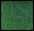 dopo la pioggia(prova) dopo la pioggia(prova)