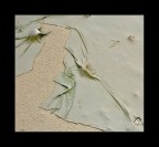 Natural cloth Natural cloth