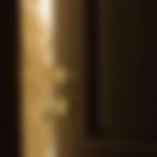 la ragazza della porta accanto la ragazza della porta accanto