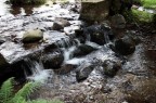 ACQUA CORRENTE