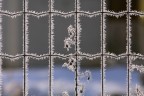 stamattina -7° stamattina -7°