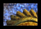 Particolare
