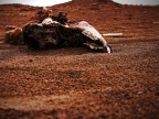 Scheletro nel deserto Scheletro nel deserto