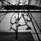 Torino, 16-11-08 (4) Torino, 16-11-08 (4)