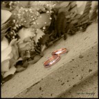 particolare2 particolare2