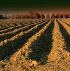 L'aratro segna il solco..(Bassa Bolognese) L'aratro segna il solco..(Bassa Bolognese)