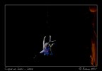 Cirque du Soleil Cirque du Soleil