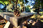 Autumn... Autumn...