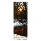 tra l'autunno e l'inverno tra l'autunno e l'inverno