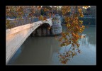 autunno sul tevere