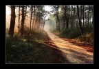 Luce nuova