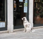 Io aspetto Io aspetto