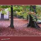 Gita fuori città Gita fuori città