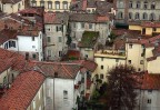 Un reticolo di case a Lucca
