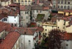 Un reticolo di case a Lucca Un reticolo di case a Lucca